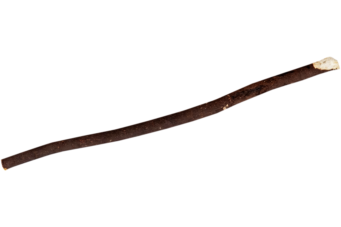 Ex - Brown Miswak - Hq