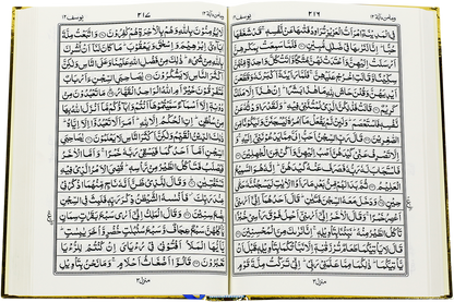 M-25 Quran-E-Pak Nazra Mtm (Golden)