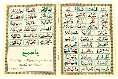 Madani Qaidah - Large